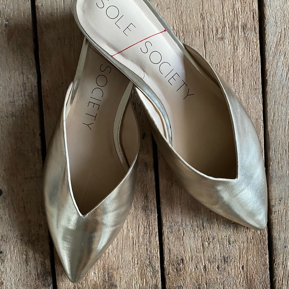 Sole Society |  Pointed Toe Mule Size 6